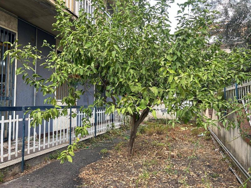 3 Bedrooms Apartment for sale in Belpasso [798115] | Gate-away®