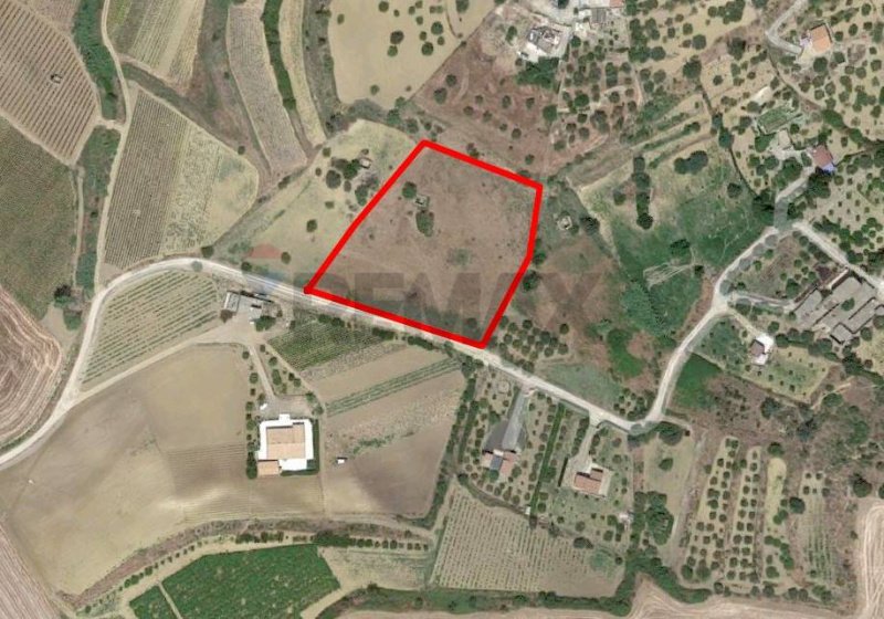 Сельскохозяйственный участок в Кальтаджироне