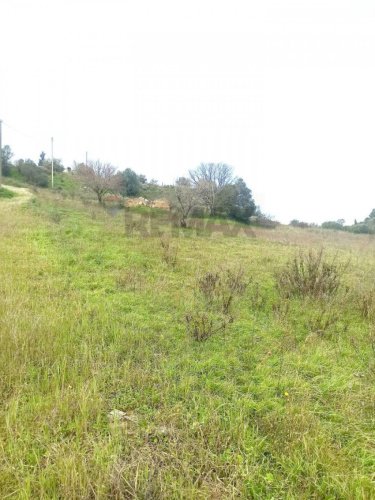 卡尔塔吉罗内农用土地