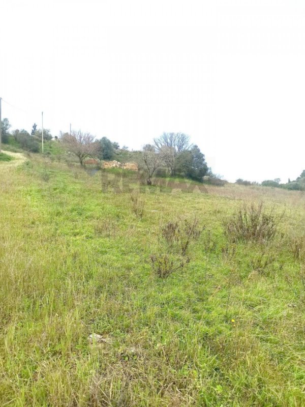 Сельскохозяйственный участок в Кальтаджироне