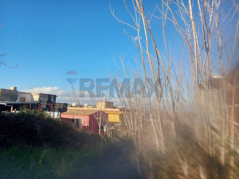 卡尼卡蒂尼巴尼建筑用地