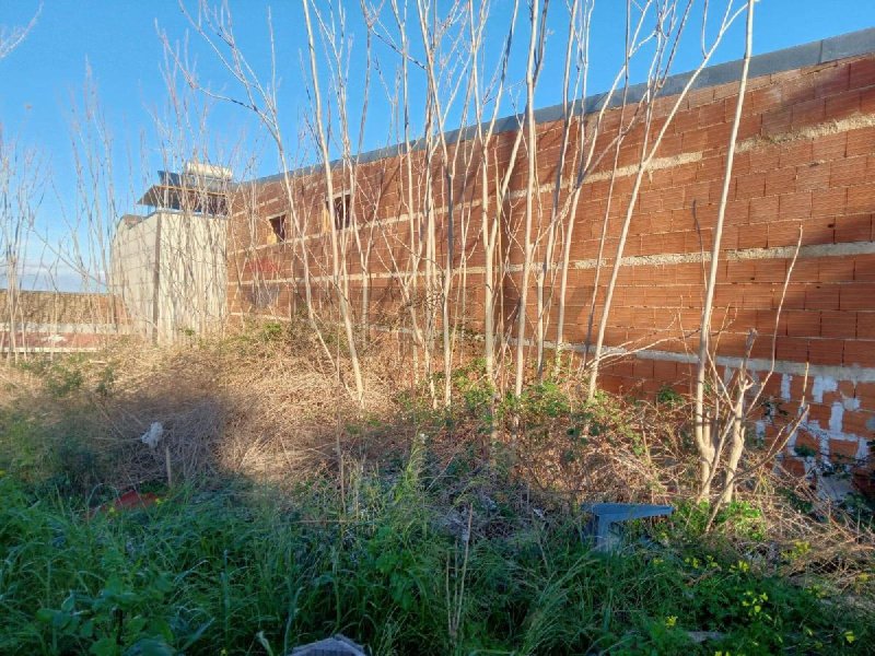 卡尼卡蒂尼巴尼建筑用地