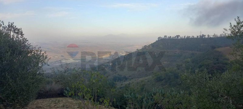 Agricultural land in San Michele di Ganzaria