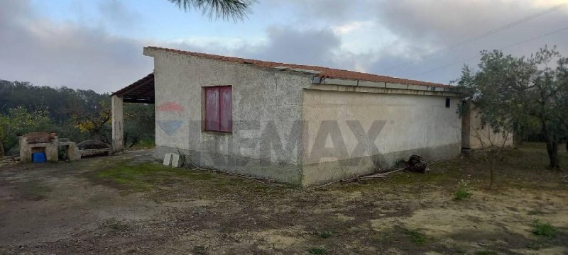 Agricultural land in San Michele di Ganzaria