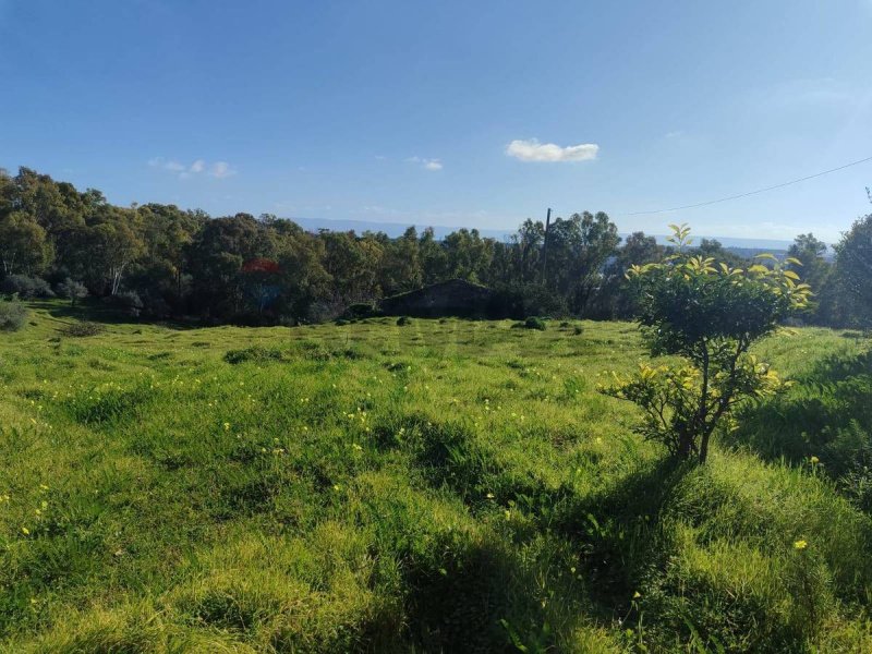 卡尔塔吉罗内独栋房屋