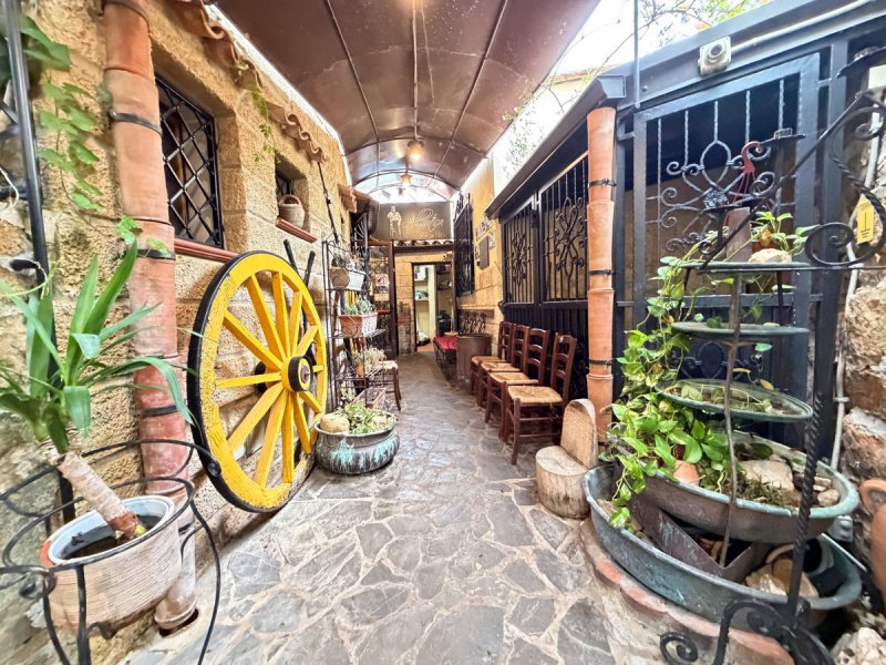 Commercial property in Terrasini