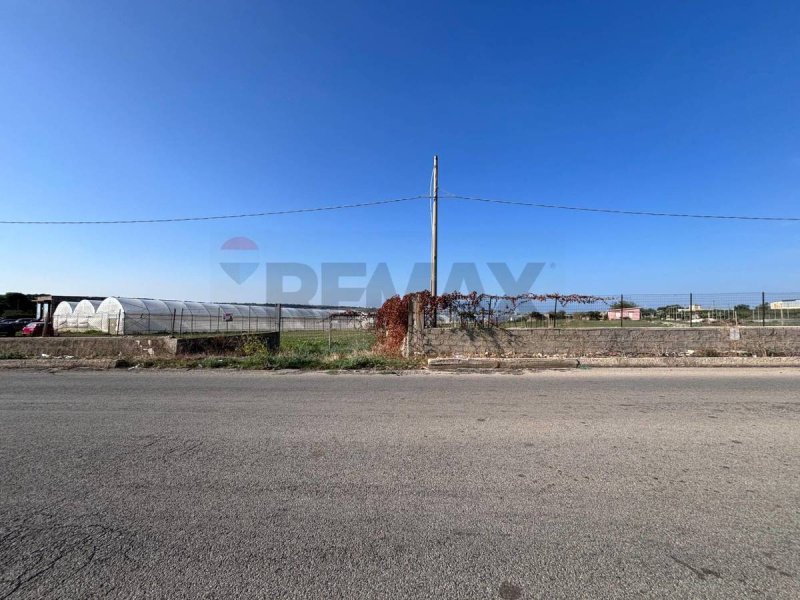 Terreno agricolo a Pachino