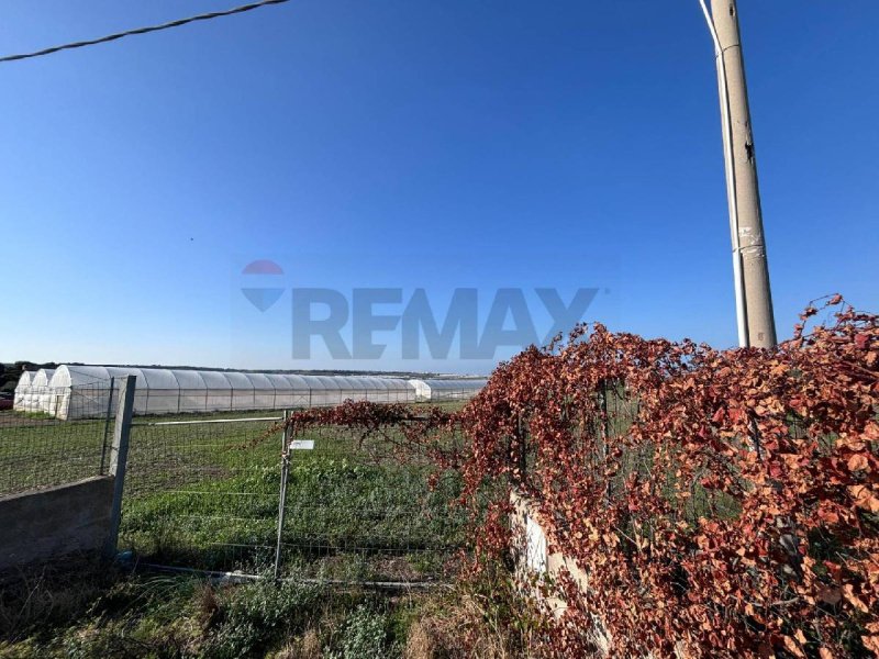 Agricultural land for sale in Pachino [799220] | Gate-away®