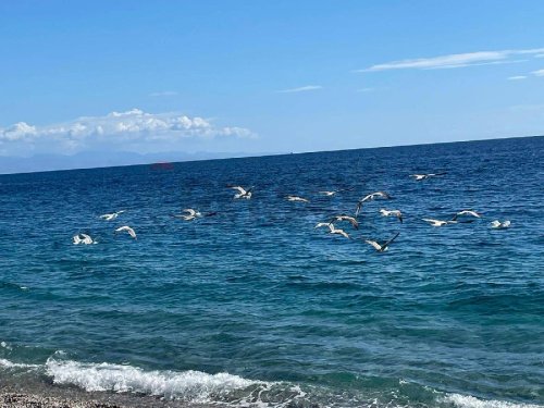 Квартира в Маскали