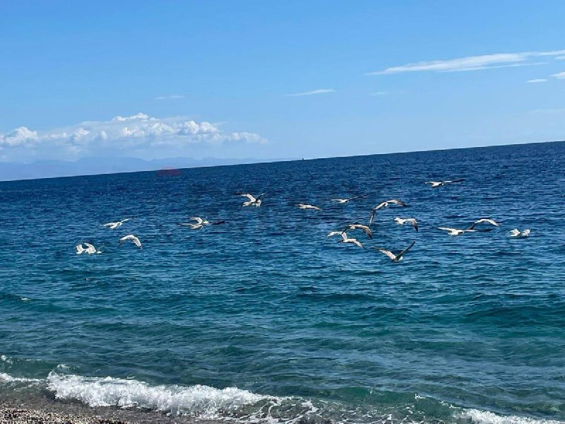 Квартира в Маскали