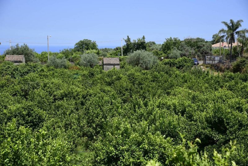 Terrain agricole à Acireale