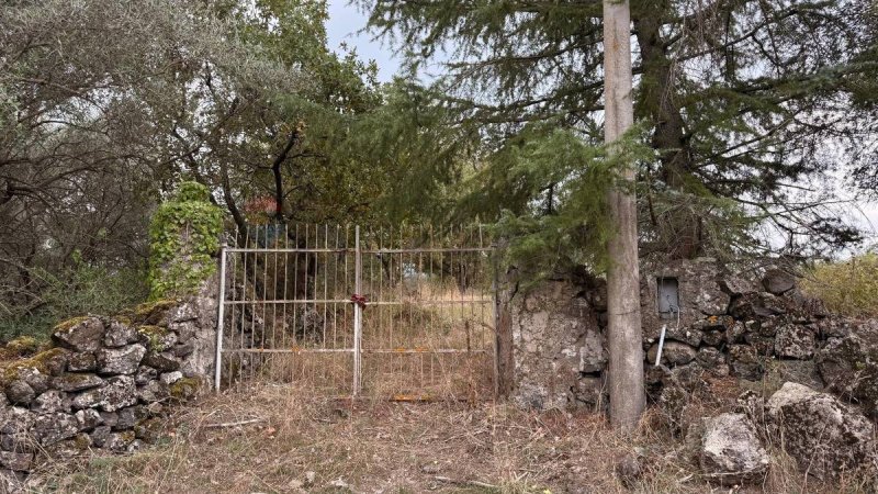 西西里堡农用土地