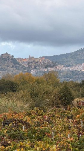 西西里堡农用土地