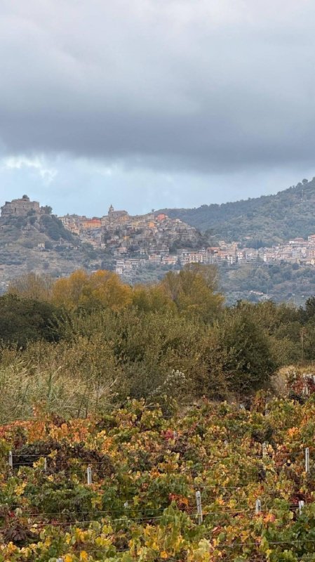 Agricultural land for sale in Castiglione Di Sicilia [799476] | Gate-away®