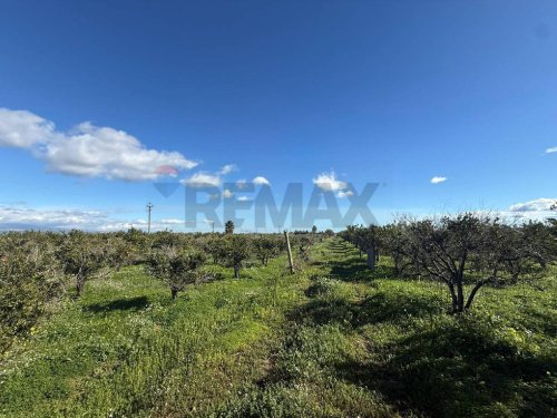 Terreno agrícola en Belpasso