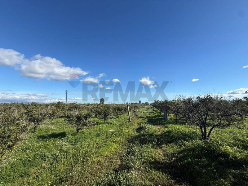 Terreno agrícola en Belpasso
