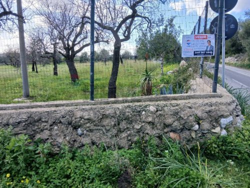 阿沃拉建筑用地