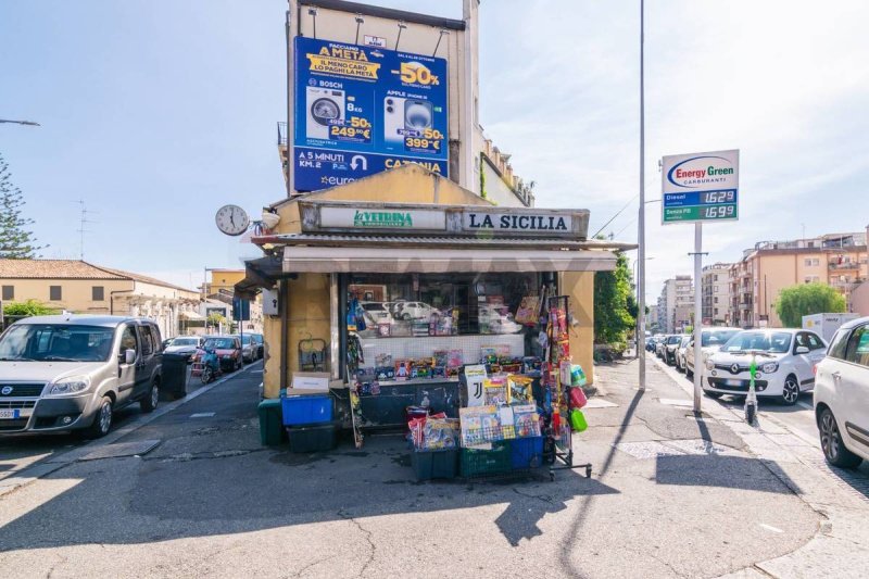 Zakelijk onroerend goed in Catanië