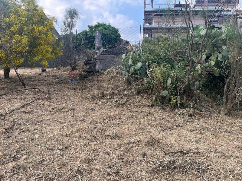 Terrain à bâtir à Zafferana Etnea