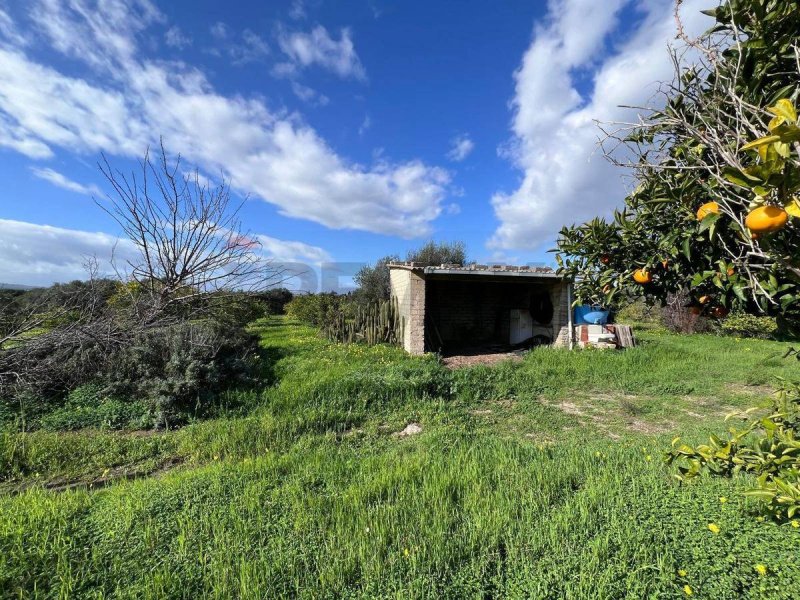 Landbouwgrond in Augusta