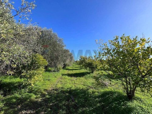 Terreno agricolo a Augusta