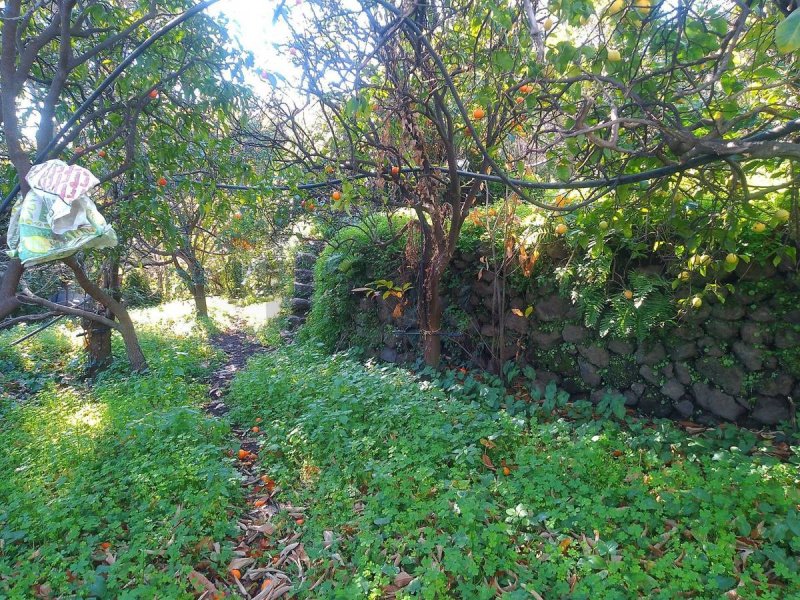 Terrain agricole à Giarre