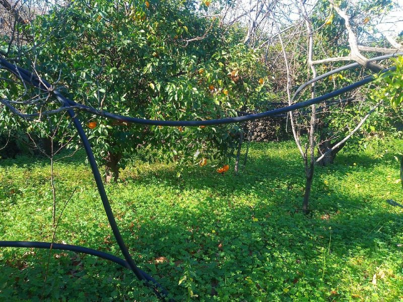 Agricultural land for sale in Giarre [801075] | Gate-away®