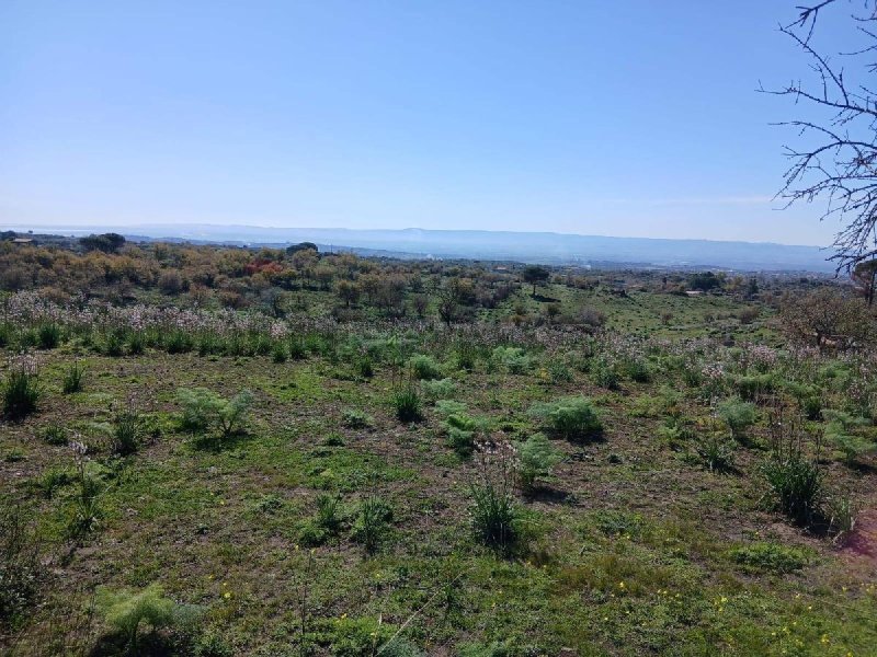 Jordbruksmark i Belpasso