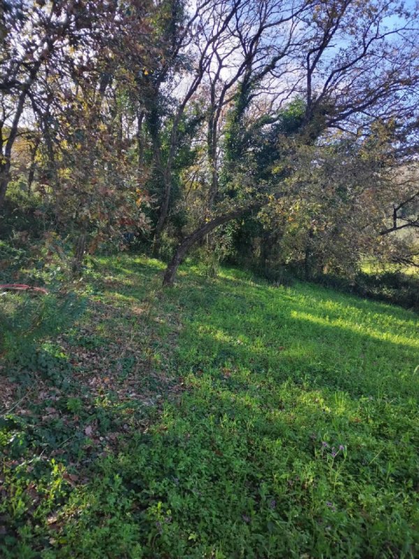 Agricultural land for sale in Piazza Armerina [801293] | Gate-away®
