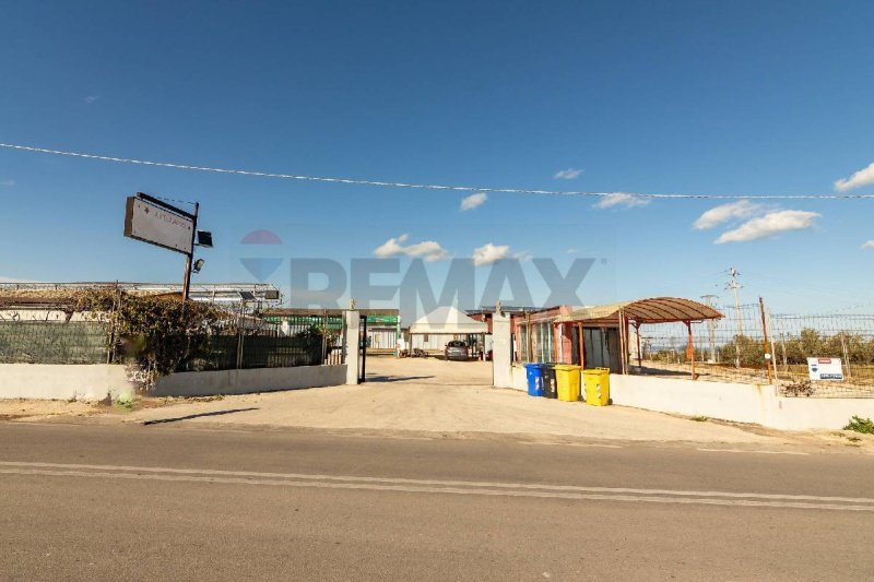 梅利利商业房产