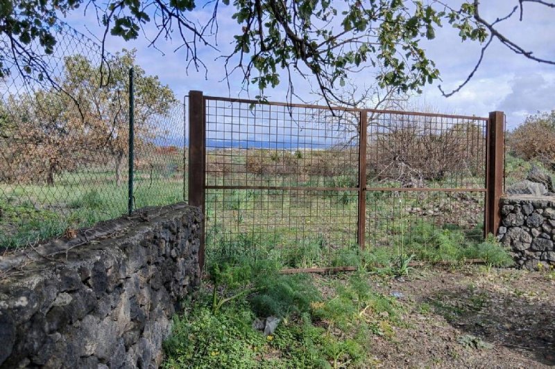 Terreno agrícola em Belpasso