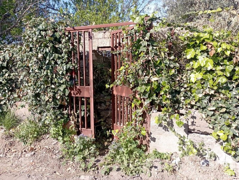 Сельскохозяйственный участок в Бельпассо