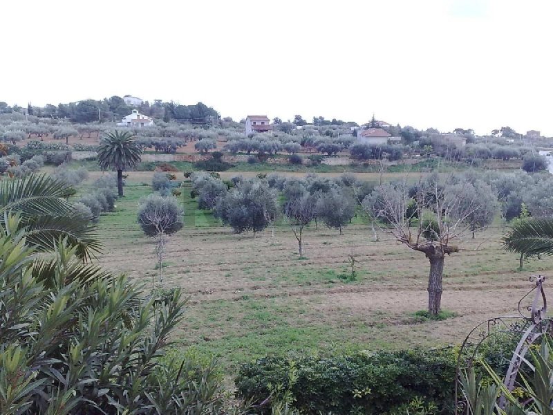 Terreno edificabile a Niscemi