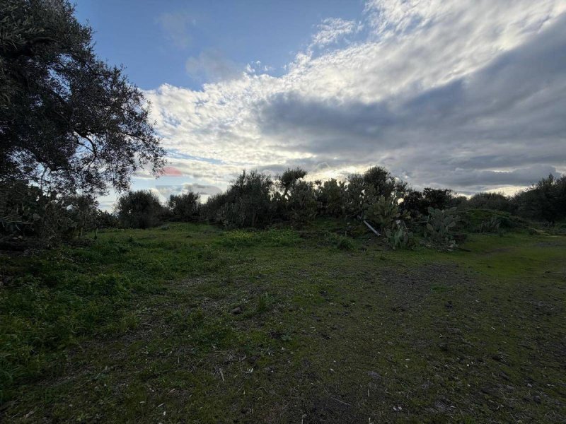 Terreno agricolo a Belpasso