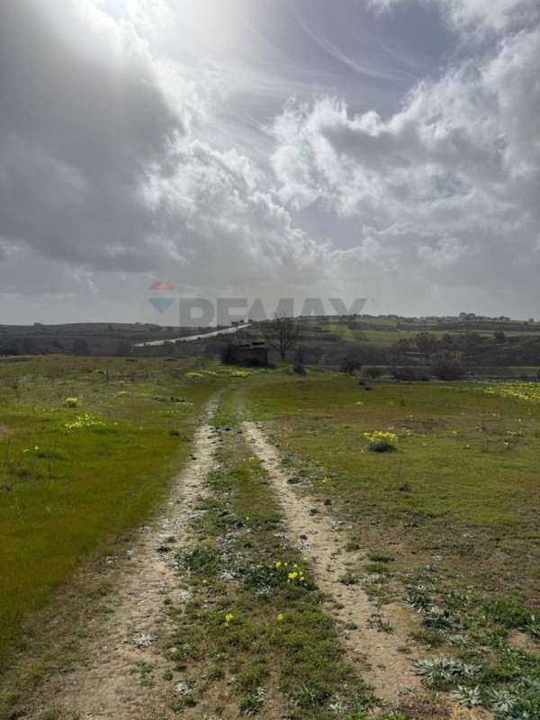 Сельскохозяйственный участок в Граммикеле