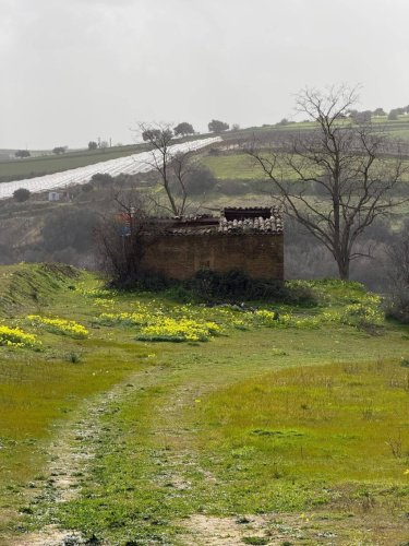 Сельскохозяйственный участок в Граммикеле