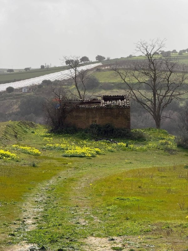 Сельскохозяйственный участок в Граммикеле