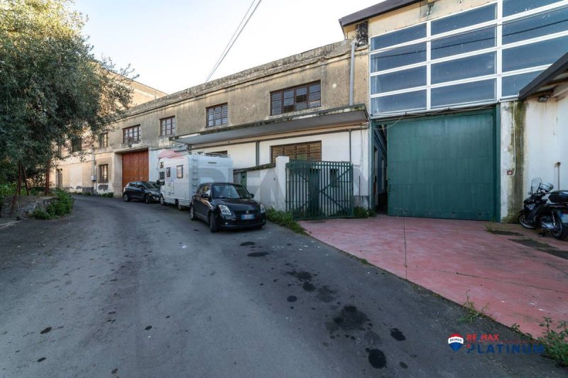 Zakelijk onroerend goed in Paternò