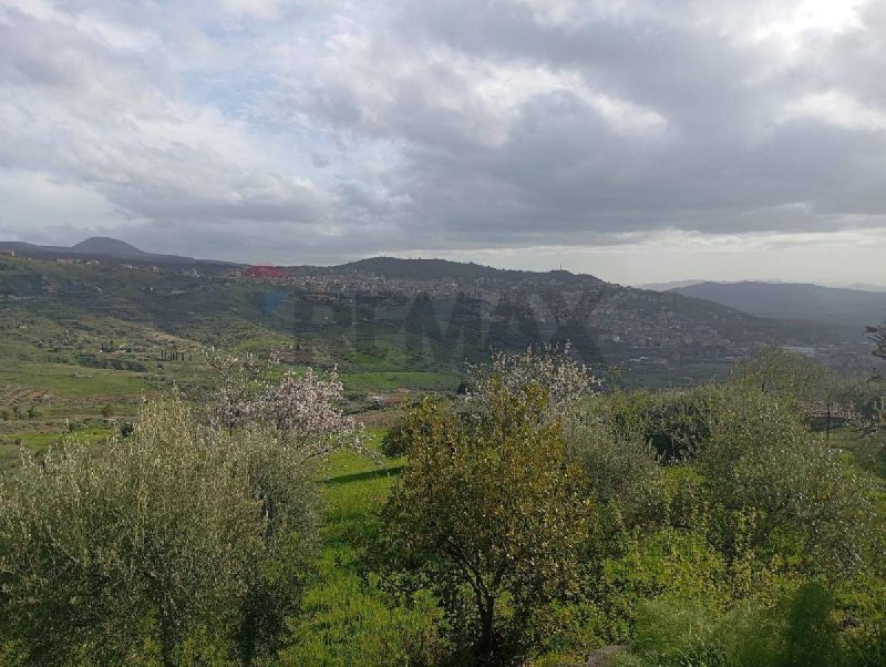 Terreno agrícola em Bronte
