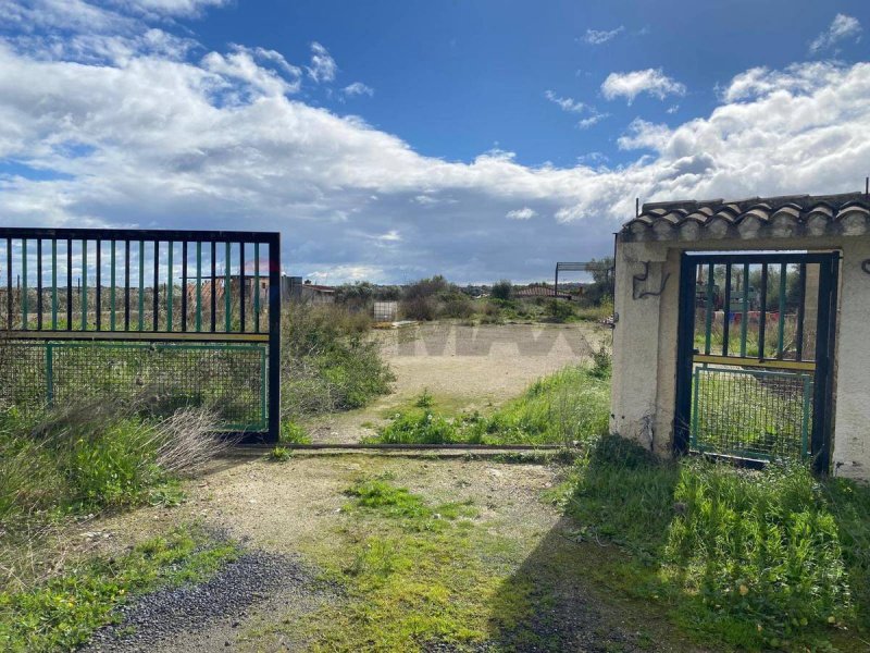 Jordbruksmark i Augusta