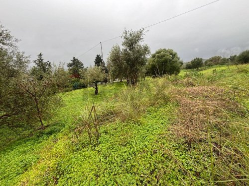 Landbouwgrond in Carlentini