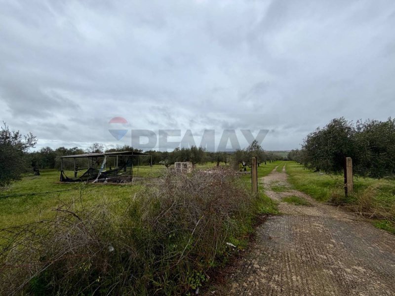 Terreno agricolo a Chiaramonte Gulfi