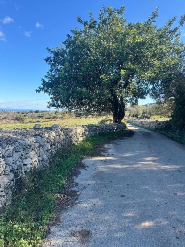 Terreno agrícola em Melilli