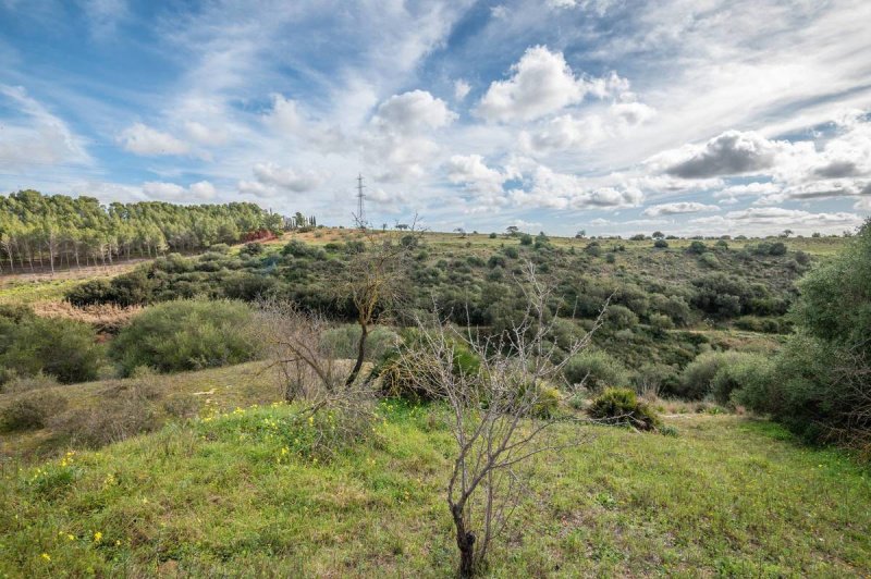 Landbouwgrond in Caltagirone