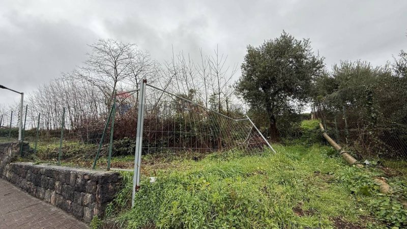 Сельскохозяйственный участок в Ачи-Сант'Антонио