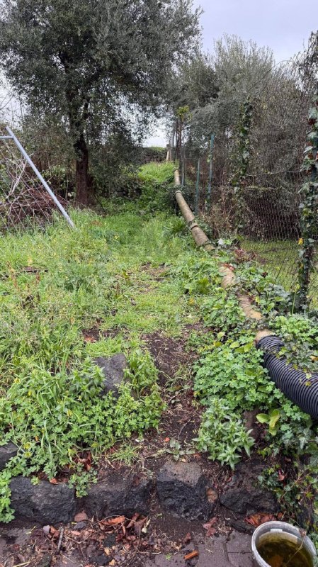 Сельскохозяйственный участок в Ачи-Сант'Антонио