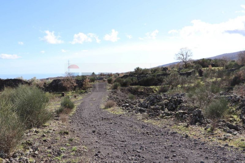 林瓜格洛萨建筑用地
