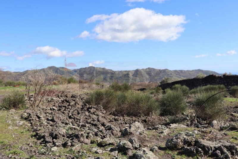 林瓜格洛萨建筑用地