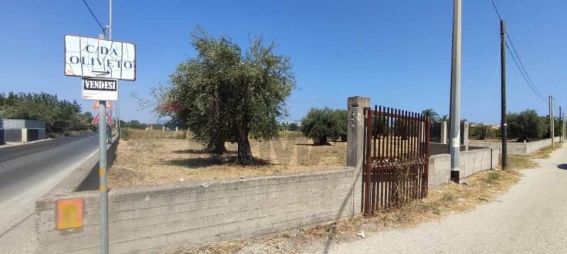 Сельскохозяйственный участок в Аугуста