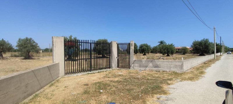 Сельскохозяйственный участок в Аугуста